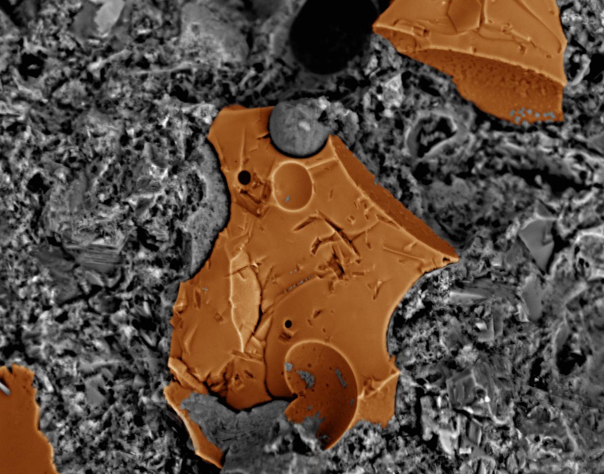 MVC14