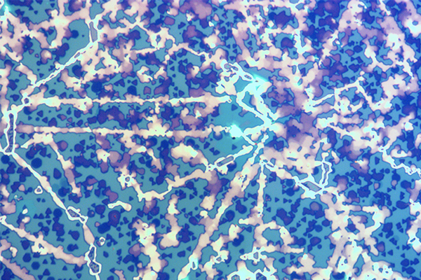 mvc001