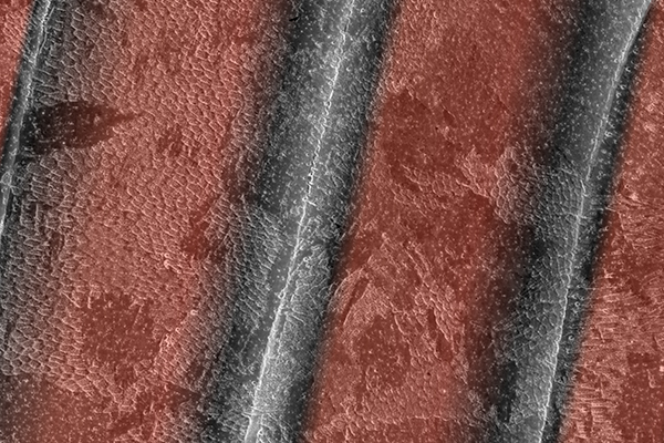 mvc002