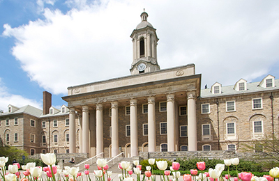 Old Main Tulips