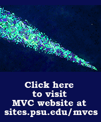 click to MVC website