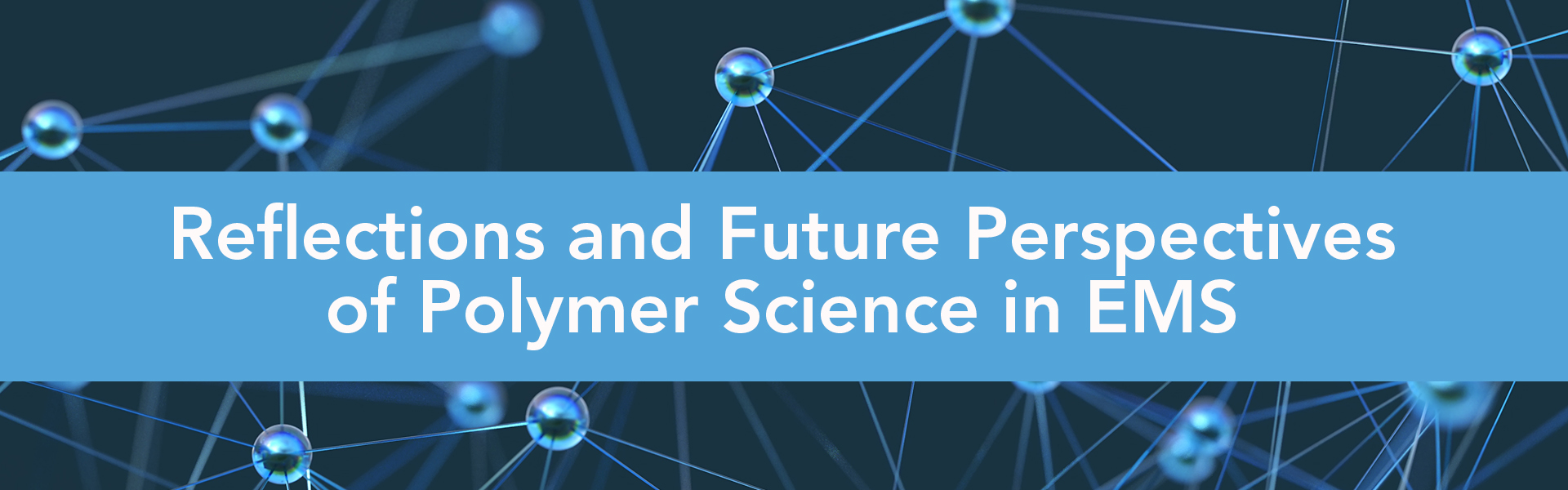 Reflections and Future Perspectives of Polymer Science in EMS